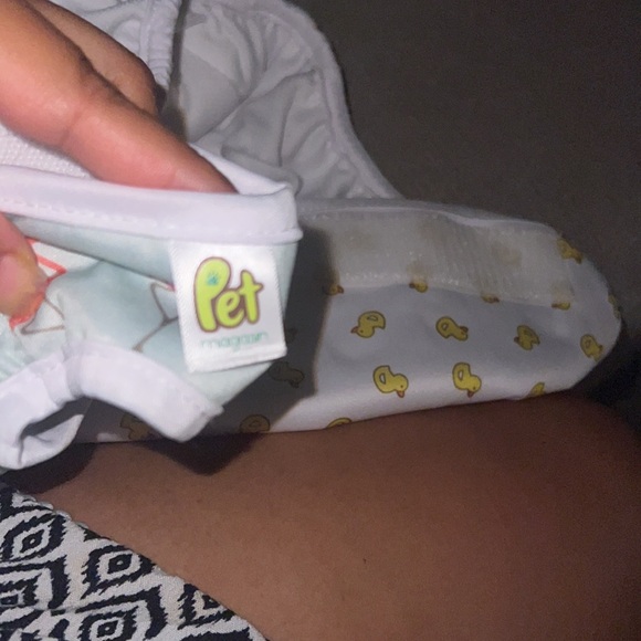 Pet magasin reusable diaper size large - Picture 9 of 10